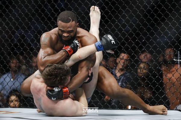 What is Mixed Martial Arts (MMA)?